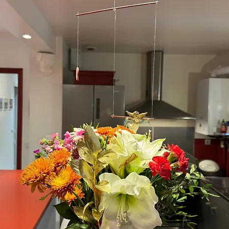 Appartamento Red Flat *