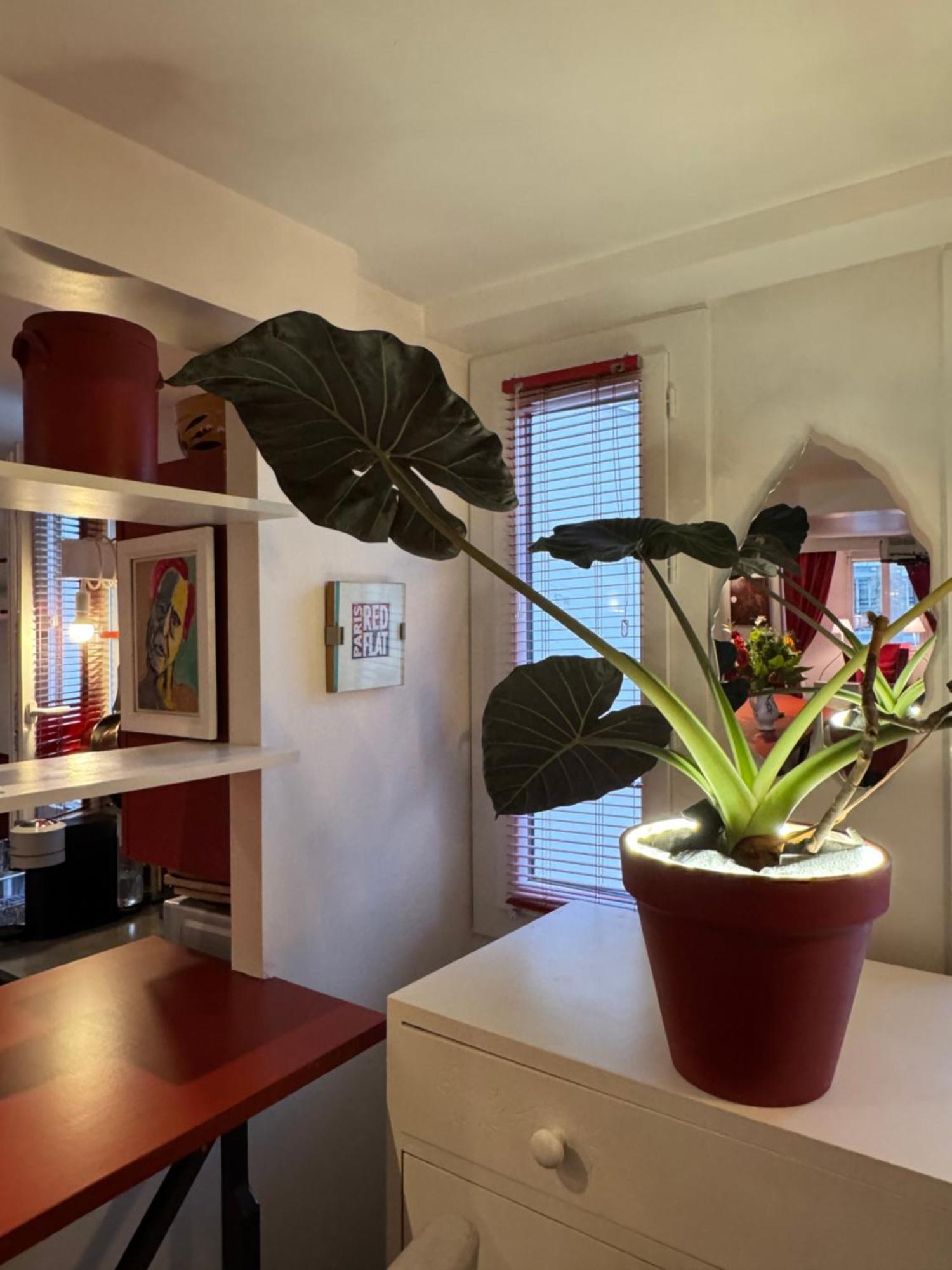 Appartamento Red Flat *